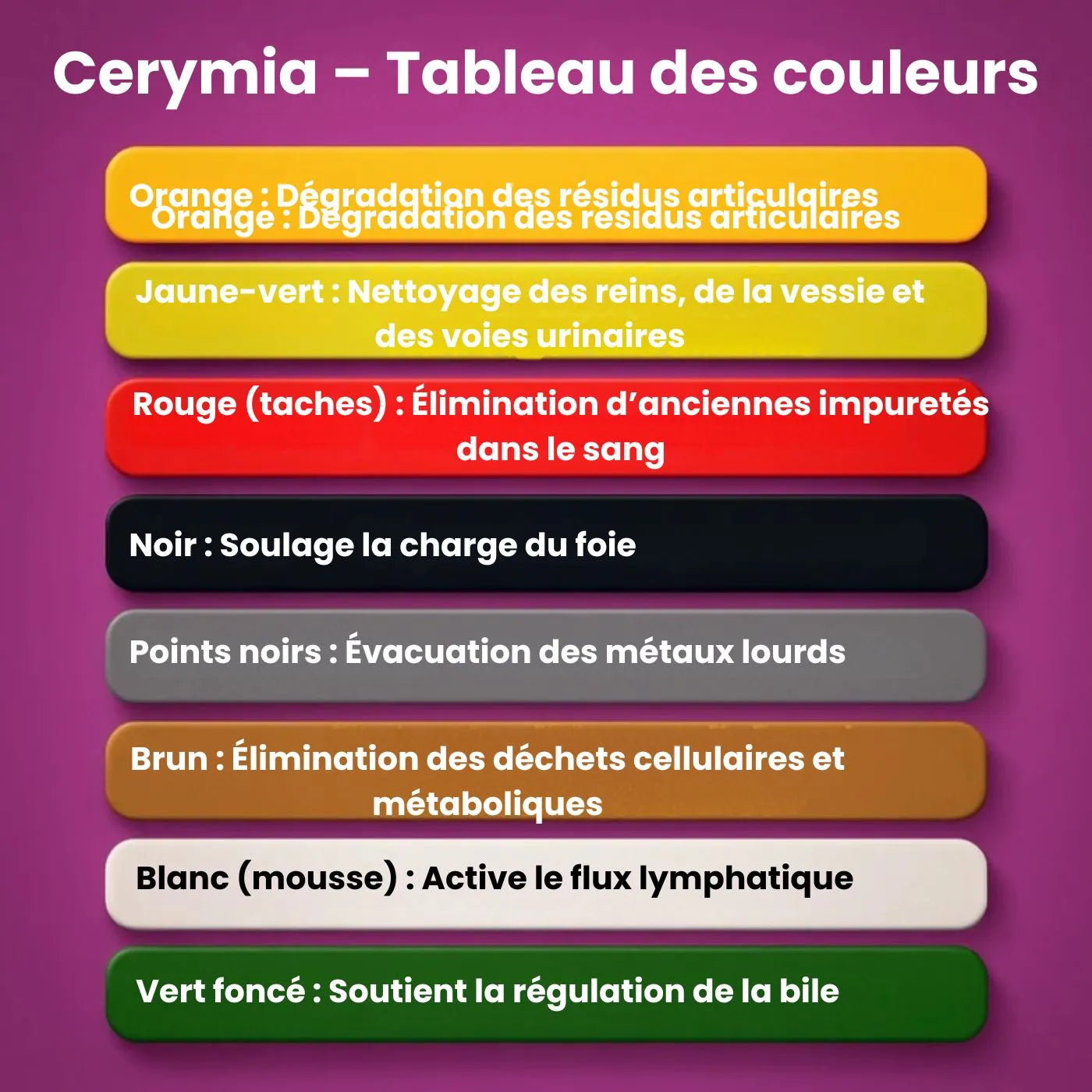 CERYMIA – Transformez Votre Bien-Être en 30 Minutes