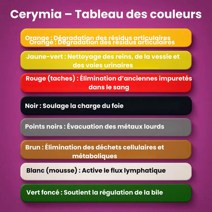 CERYMIA – Transformez Votre Bien-Être en 30 Minutes